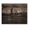 Designart - Gold Cliffs In The Fog - Modern Print on Natural Pine Wood